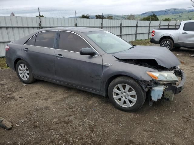 2007 Toyota Camry Hybrid