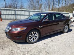 Ford salvage cars for sale: 2012 Ford Taurus SEL