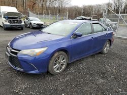 Salvage cars for sale from Copart Finksburg, MD: 2015 Toyota Camry LE