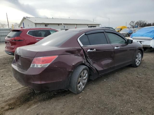 2010 Honda Accord EXL