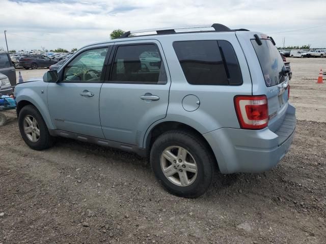 2008 Ford Escape HEV