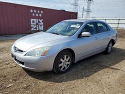 Salvage cars for sale at Elgin, IL auction: 2005 Honda Accord EX