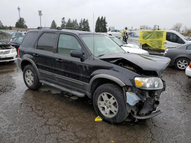 2005 Ford Escape XLT