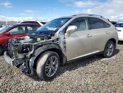 Lexus RX 350 Base salvage cars for sale: 2014 Lexus RX 350 Base