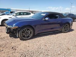 Salvage cars for sale from Copart Phoenix, AZ: 2019 Ford Mustang
