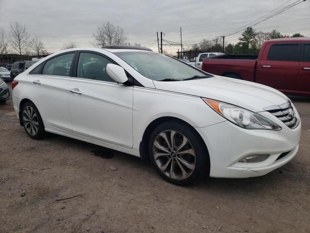 2013 Hyundai Sonata SE