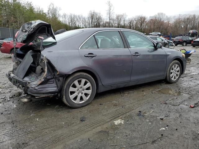 2009 Toyota Camry Hybrid