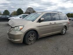 Salvage cars for sale from Copart Mocksville, NC: 2006 Honda Odyssey EXL
