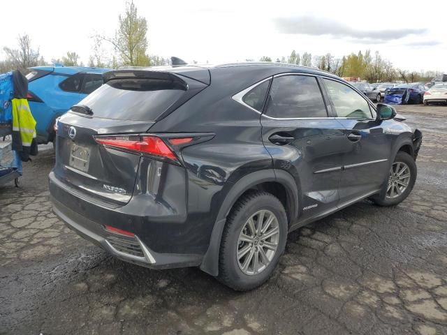 2020 Lexus NX 300H