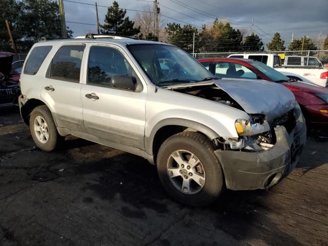 2007 Ford Escape XLT