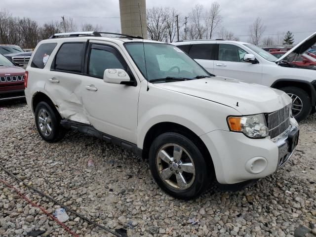 2011 Ford Escape Limited