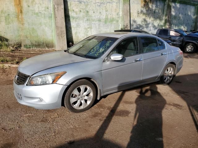 2010 Honda Accord EXL