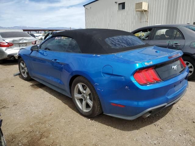 2019 Ford Mustang