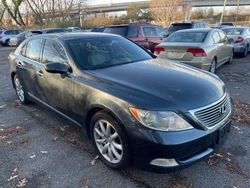 Salvage cars for sale from Copart Hampton, VA: 2007 Lexus LS 460