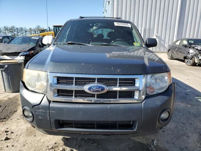 2008 Ford Escape XLT