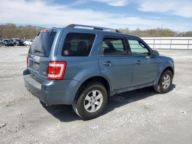 2011 Ford Escape Limited