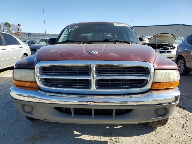 2001 Dodge Dakota Quattro