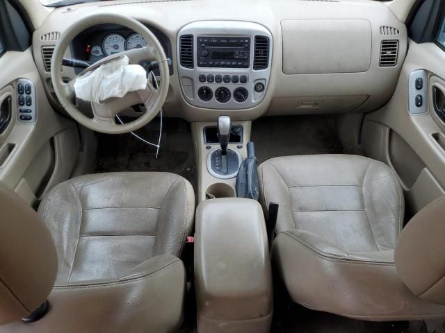 2007 Ford Escape Limited