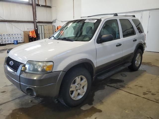 2006 Ford Escape XLT