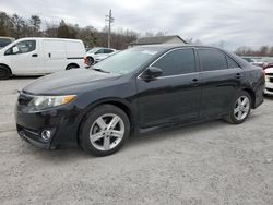 Salvage cars for sale at York Haven, PA auction: 2014 Toyota Camry L