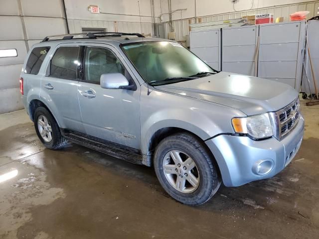 2008 Ford Escape HEV