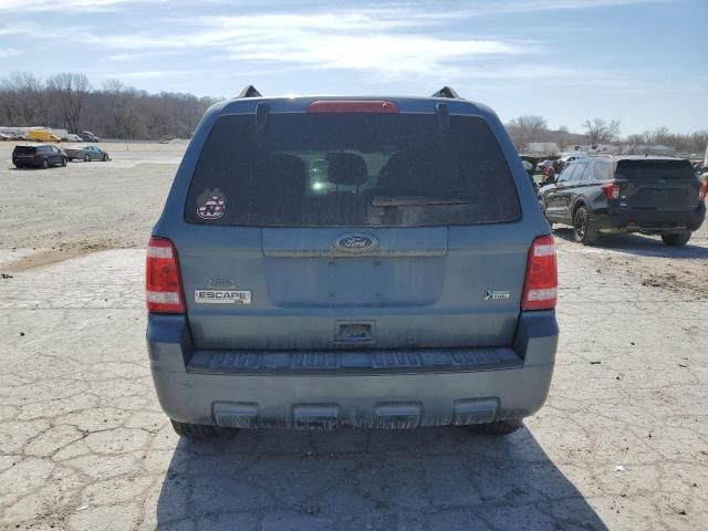 2010 Ford Escape XLT