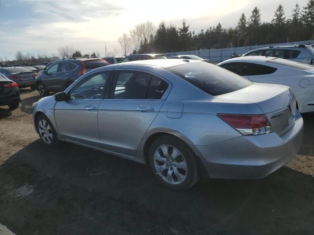 2008 Honda Accord EXL