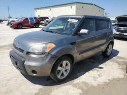 Salvage cars for sale at Haslet, TX auction: 2011 KIA Soul +