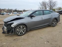 Salvage cars for sale at Baltimore, MD auction: 2021 Nissan Maxima SV