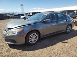 Salvage cars for sale at Phoenix, AZ auction: 2016 Nissan Altima 2.5