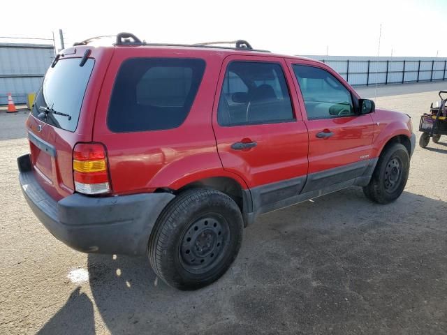 2001 Ford Escape XLT