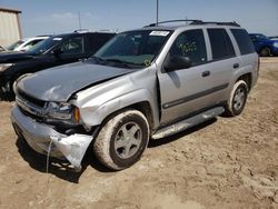 Vehiculos salvage en venta de Copart Temple, TX: 2004 Chevrolet Trailblazer LS