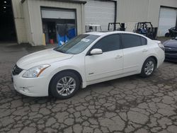 Nissan Altima salvage cars for sale: 2010 Nissan Altima Hybrid