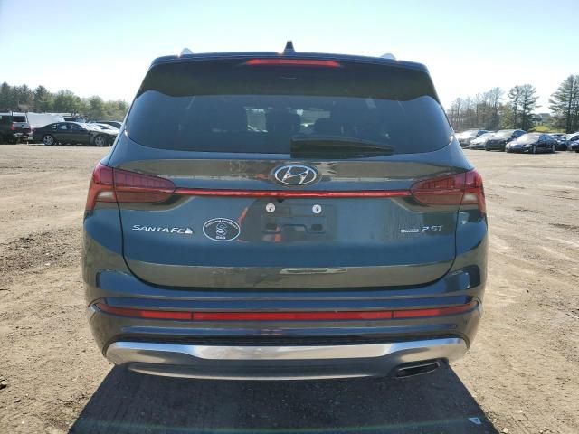 2022 Hyundai Santa FE Calligraphy