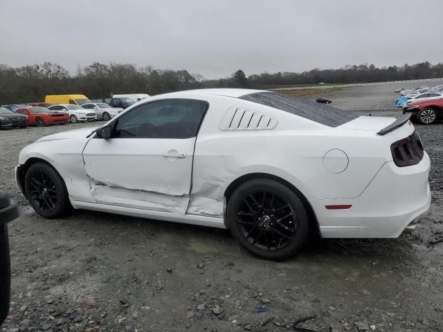 2014 Ford Mustang