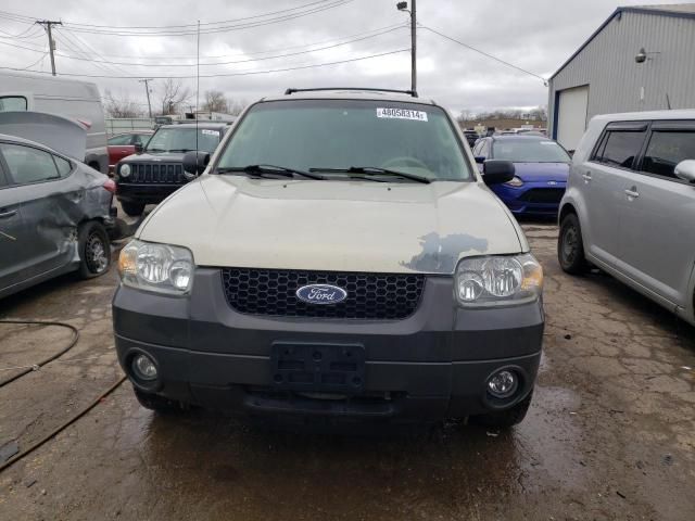 2005 Ford Escape XLT