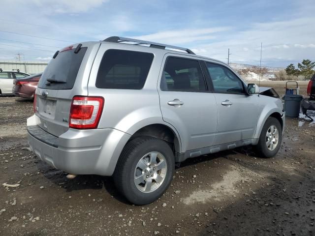 2011 Ford Escape Limited