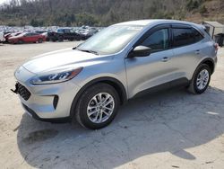 Ford Escape salvage cars for sale: 2022 Ford Escape SE