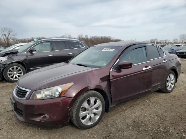 2010 Honda Accord EXL