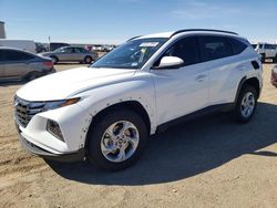 Salvage cars for sale from Copart Amarillo, TX: 2024 Hyundai Tucson SEL