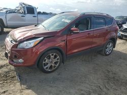 Salvage cars for sale from Copart Earlington, KY: 2014 Ford Escape Titanium