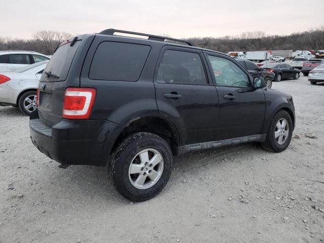 2009 Ford Escape XLT