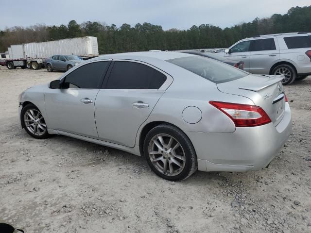 2010 Nissan Maxima S