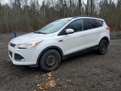 Ford salvage cars for sale: 2016 Ford Escape SE