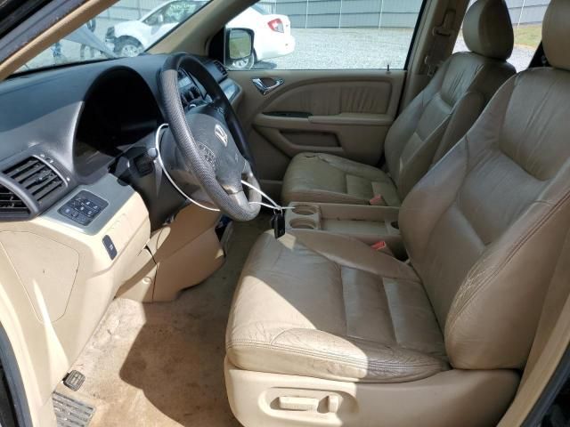 2005 Honda Odyssey EXL