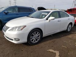 Salvage cars for sale from Copart Elgin, IL: 2011 Lexus ES 350