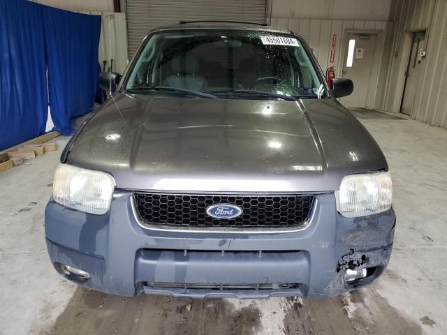 2004 Ford Escape XLT