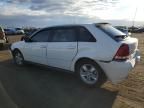 2005 Chevrolet Malibu Maxx LS