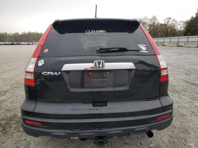 2010 Honda CR-V EXL