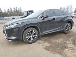 Vehiculos salvage en venta de Copart Ontario Auction, ON: 2021 Lexus RX 350